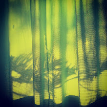 PLACERES DE UNA VIDA TRANQUILA 1