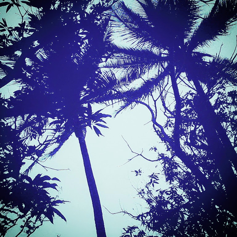 CUANDO LLEGAN LOS MONSTRUOS